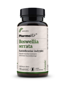 Boswellia serrata Kadzidłowiec indyjski na Stawy | Pharmovit