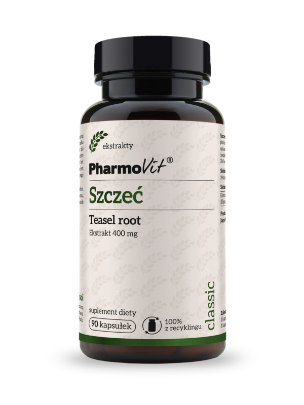 Szczeć Teasel root 4:1 400 mg 90 kaps | Classic Pharmovit